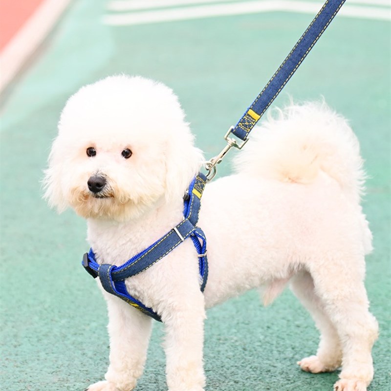 牵引绳比熊犬专用网红背心式遛狗绳宠物小狗狗绳子泰迪小型犬链子