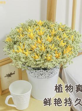 云南黄色百合干燥花花束真花家居摆设室内装饰摆件客厅大束风干文
