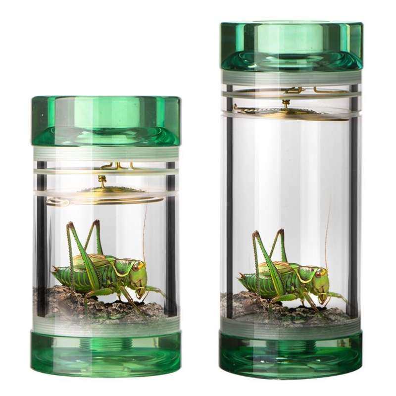 笼子透明罐鸣虫塑料蝈蝈叫罐有机玻璃竹编透明虫具亚克力精品蛐蛐