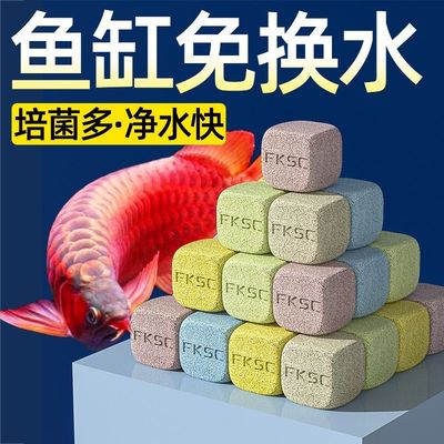 疯狂水草鱼缸过滤滤材细菌屋陶瓷环净化水质石英球过滤器去黄滤材