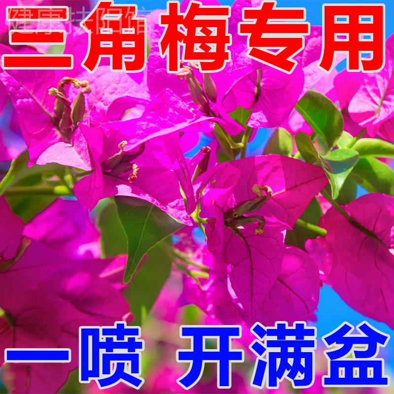 三角梅肥料营养液专用肥植物梅花盆栽家用花卉养花促开花液体肥料