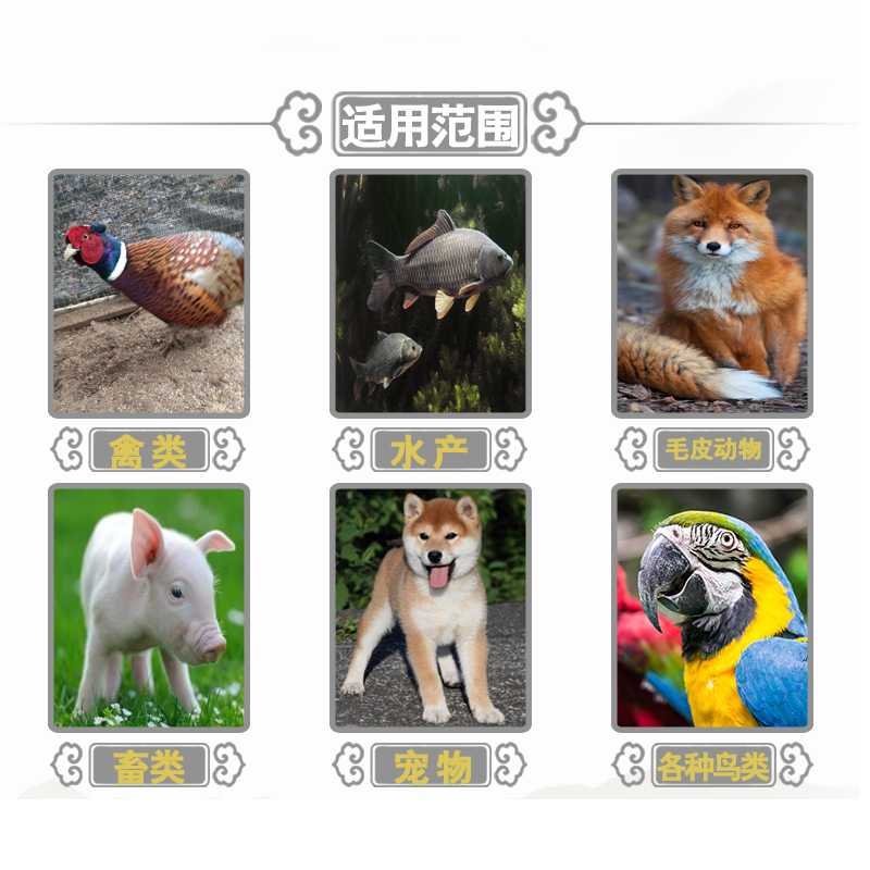 维生素AD3粉畜禽通用饲料添加剂预混饲料兽用鱼肝油粉微量元素鸡