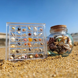 三十六宫格海螺贝壳亚克力收纳盒暑假沙滩寻宝收集器桌面展示摆件
