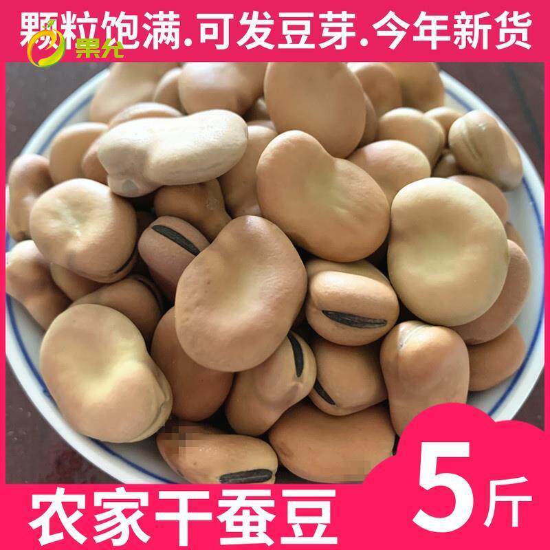 新货干蚕豆5斤 新鲜散装生蚕豆罗汉豆胡豆干货可发芽油炸蚕豆小吃