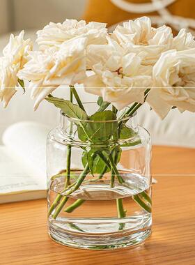 花瓶摆件客厅插花玻璃高级感透明水培复古餐桌矮水培玫瑰大口径宽