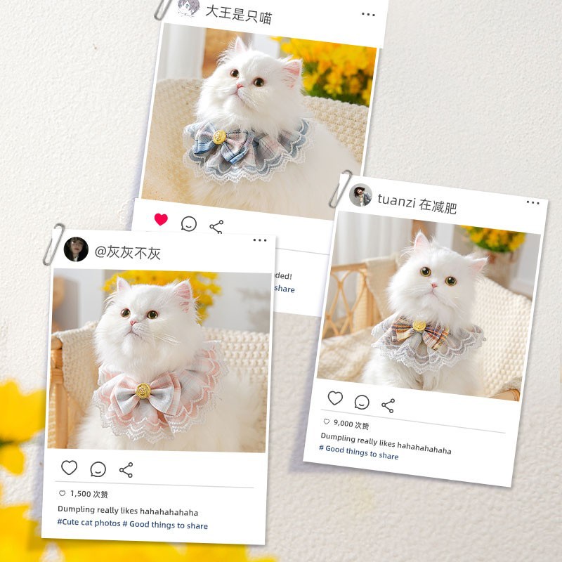 新品Sweet Cats Lace Collar Bib Pet Decor Preppy Style Neckla