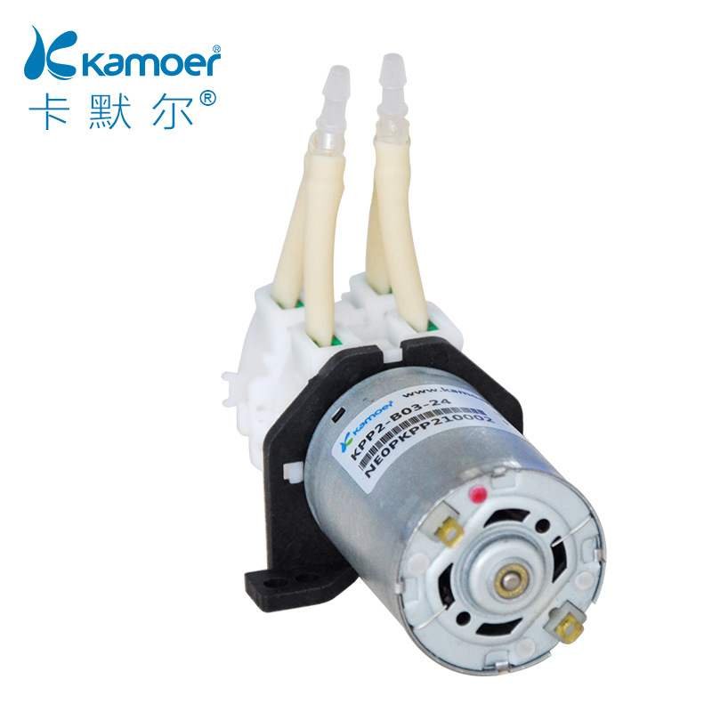 好货双头蠕动泵 24v低音微型小家用大流量自吸泵 12v抽水泵电动不