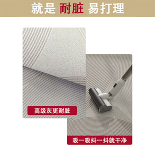 入户门地垫进门门口脚垫玄关地毯家用进户门口垫子可裁剪入门地垫