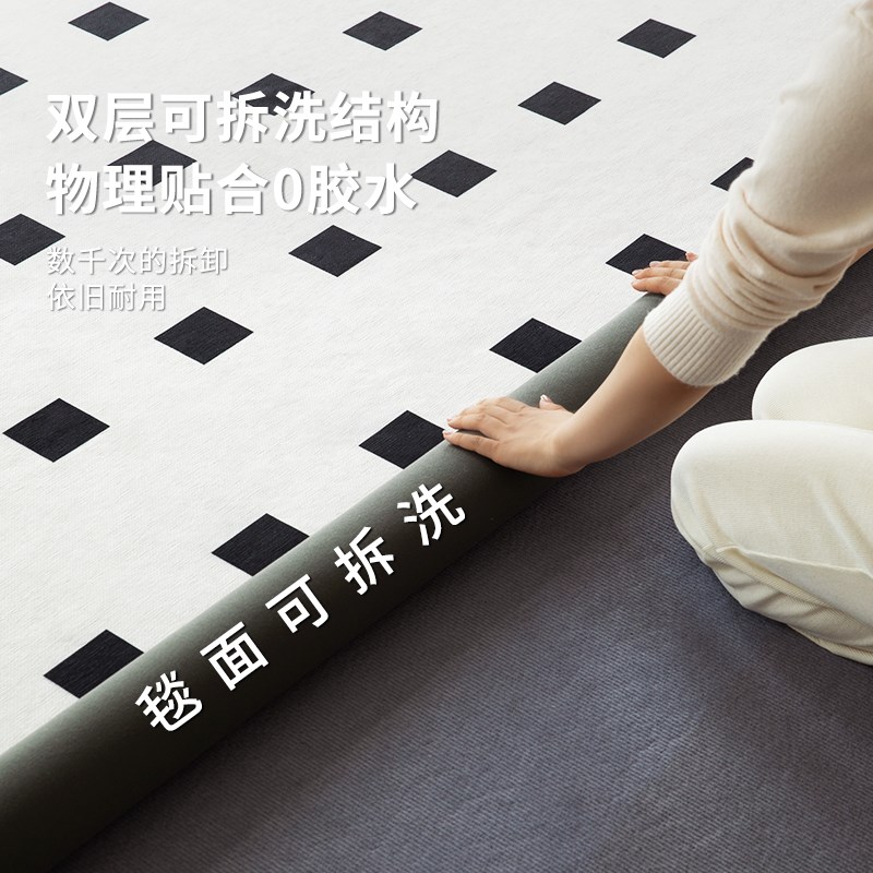 地毯客厅可机洗双层可拆洗2024新款奶油风沙发茶几地垫加厚地毯