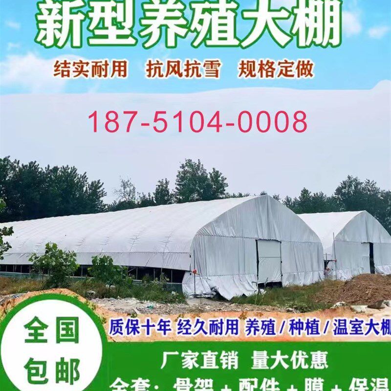 大棚钢管骨架椭圆管肩并肩温室花卉种植养殖