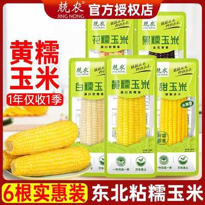 黄糯玉米200g北纬47度东北新鲜黄糯苞米黏玉米棒即食真空包装