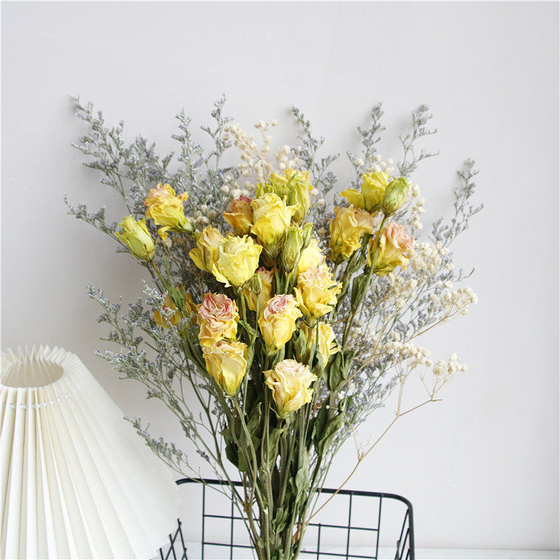 乾燥花花束洋桔梗真花花瓶摆件家居装饰客厅餐桌简约北欧小清新礼