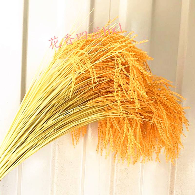 黄稻穗稻谷金黄稻子麦穗塑料水稻假花仿真花婚庆装饰布景跳舞道具