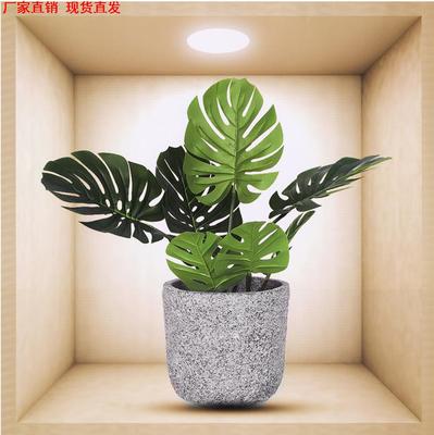 玻璃贴纸3d立体仿真多肉绿植贴画卧室门贴房门装饰浴室墙壁破洞贴