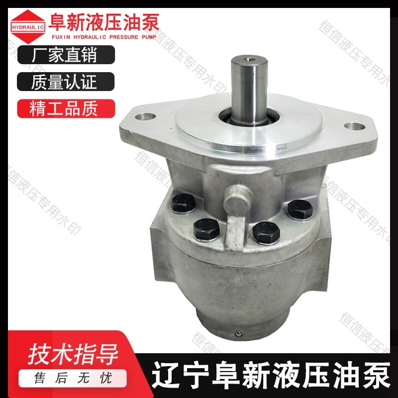 合肥阜新液压 齿轮泵CBTx-F563 F580 -B CBT-F325 铝合金液压油泵