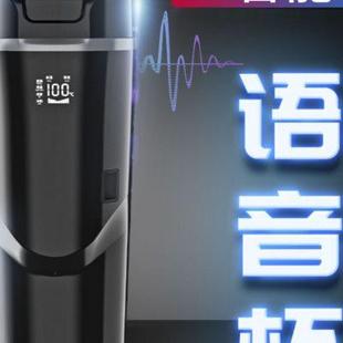 智能车载语音烧水杯电热杯12v24v汽车通用泡茶煮面冲奶加热保温杯