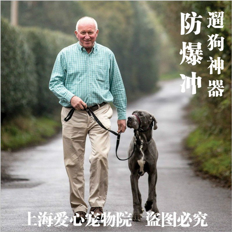 原装哈迪口环狗嘴鼻环狗口套狗嘴套牵引绳遛狗神器训狗防爆冲牵绳
