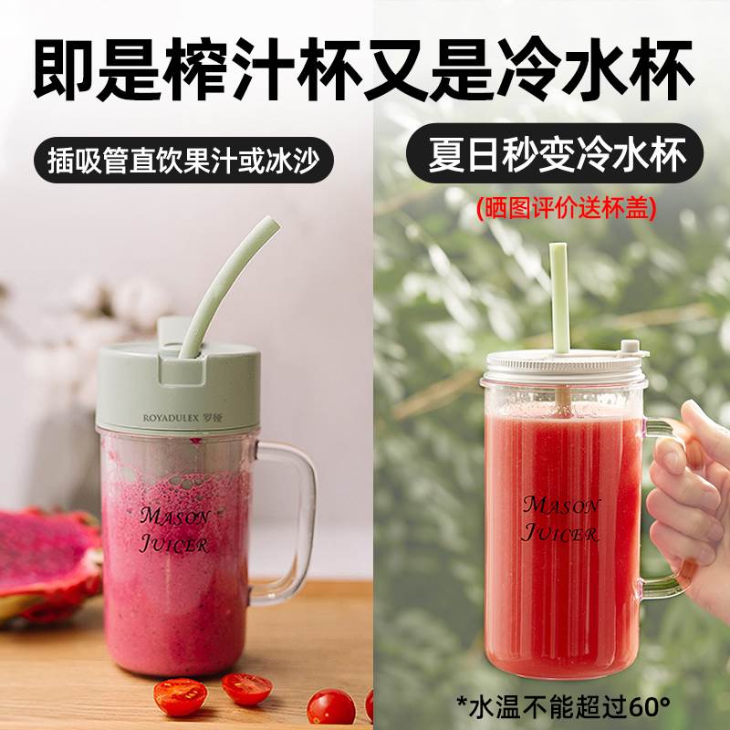 other/其他 other罗娅16叶刀小型可携式榨汁机搅拌机杯冰沙水果汁