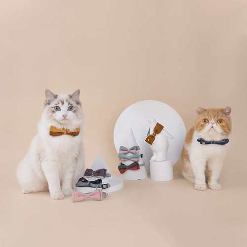 极速New Adjustable Pet Collar Double Bow Colorblock Dog Coll