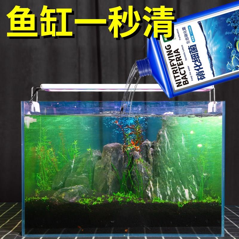 硝化细菌鱼缸用养鱼消化硝化水族净化水质鱼药稳定剂净水剂硝化菌