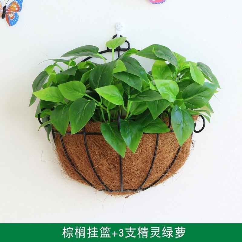 Wall ornament flower grass restaurant wall green plantinwg