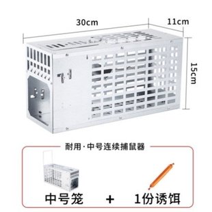 nest indoor artifactX household mouse rodent Mouse end