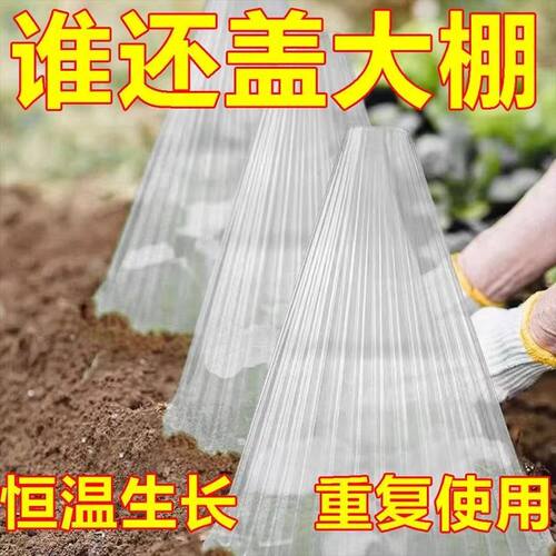 加厚防霜冻免鸟害育苗保护罩