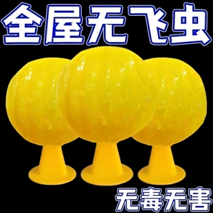 夏季室内粘飞虫球果蝇苍蝇小飞虫诱虫球诱捕家用诱捕器粘虫球批发