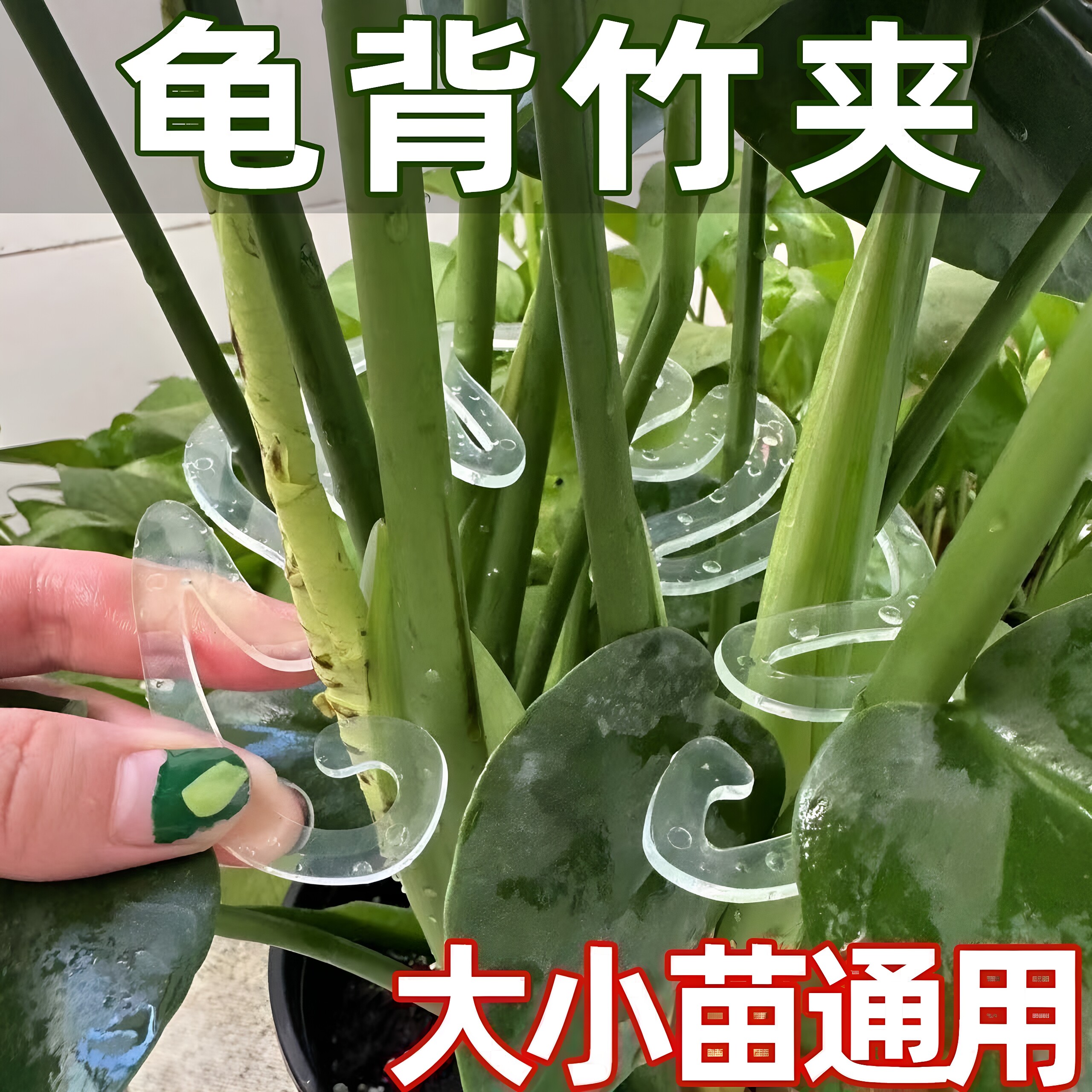 新款龟背竹支撑杆花支撑架枝干收拢架植物防倒伏支架绿植固定神器图片