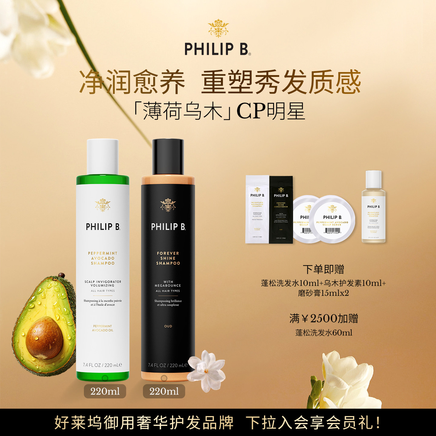 美国PhilipB洗发水控油修护组合