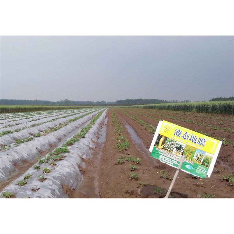 极速直销液态地膜20袋液体农膜保温塑料生物降解水膜大棚农用薄膜