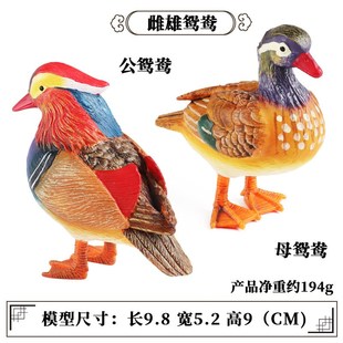 饰玩具家居场景摆 启蒙仿真游禽鸟类模型鸳鸯丛林动物花园盆景N装