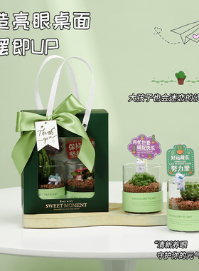 治愈系办公室好物电脑书桌面装饰小摆件家居饰品生日解压礼物女生