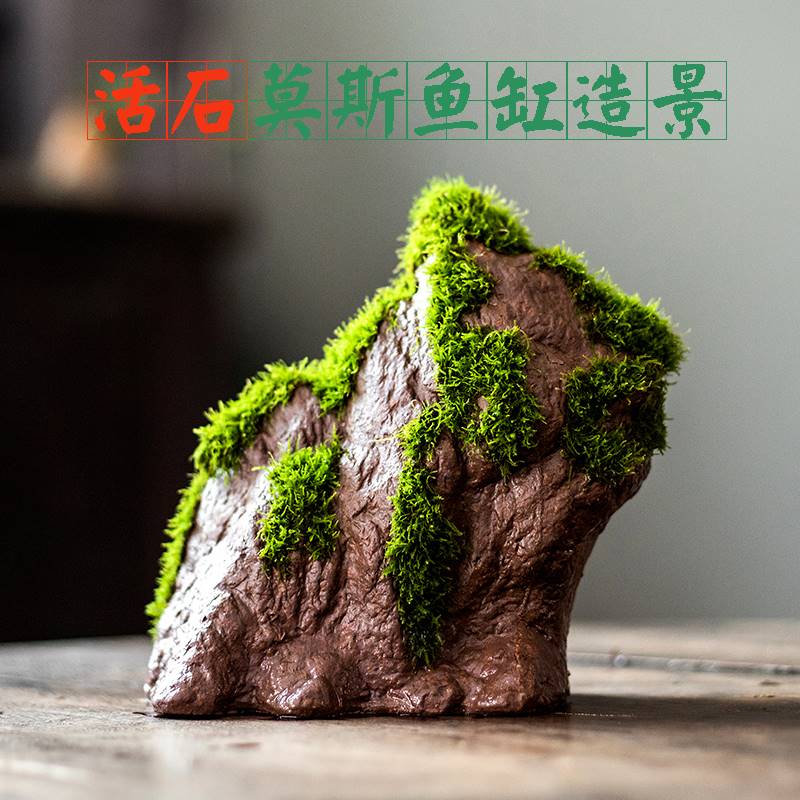 鱼缸造景莫斯水草假山苔藓盆景微景观人工活石家用办公室桌面摆件
