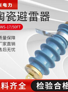 飓兴10kv-12kv户外陶瓷氧化锌避雷器Y5WS-17/50FT高压蓝色避雷器