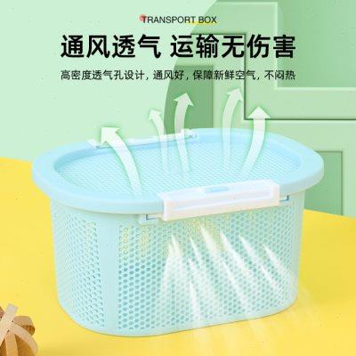 仓鼠外带透气运输笼子盒子花枝鼠金丝熊藤盒防摔抗压带孔运输笼