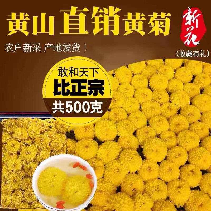 婺源皇菊大黄菊花茶徽州皇菊花非金丝皇菊胎菊杭白菊500克散装