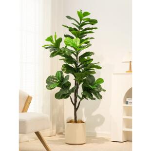 无花果绿色植物人造盆栽客厅装饰大型假植物饰品彷生绿色植物假花