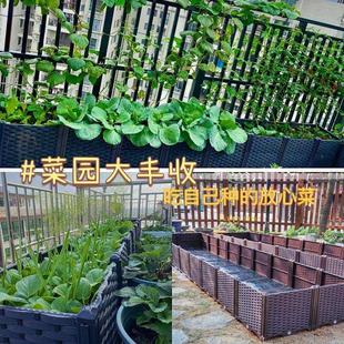 家庭屋顶楼顶阳台菜园 特大型种植神器 长方形蔬菜种植箱塑料花盆