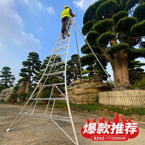三角支撑绿化园林梯子果树别墅园艺作业单侧人字采摘安全修剪升降