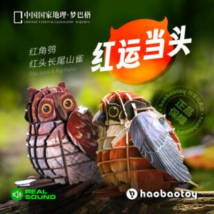 中国国家地理梦巴格纸模型小鸟3D立体拼图插装为自然发声真实鸣叫