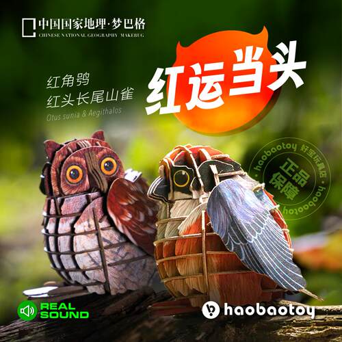 中国国家地理梦巴格纸模型小鸟3D立体拼图插装为自然发声真实鸣叫