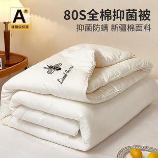 艾维A类80支纯棉全棉被子冬被加厚保暖空调被春秋棉被芯四季 通用