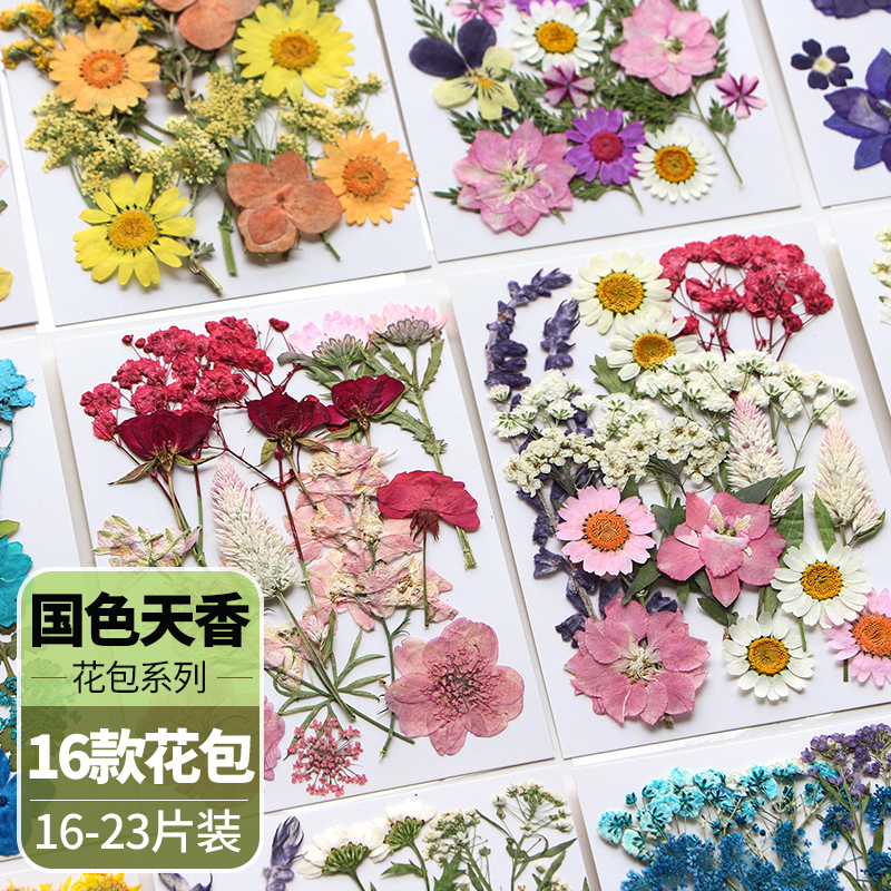 新品天然干花diy材料真花植物标本玫瑰干花树叶创意手工滴胶压花