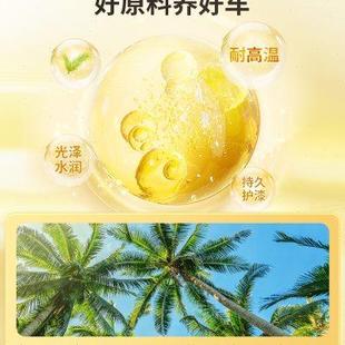 车仆金棕榈蜡洗车液水蜡强力去污高泡沫黑白车专用汽车清洗剂喷壶