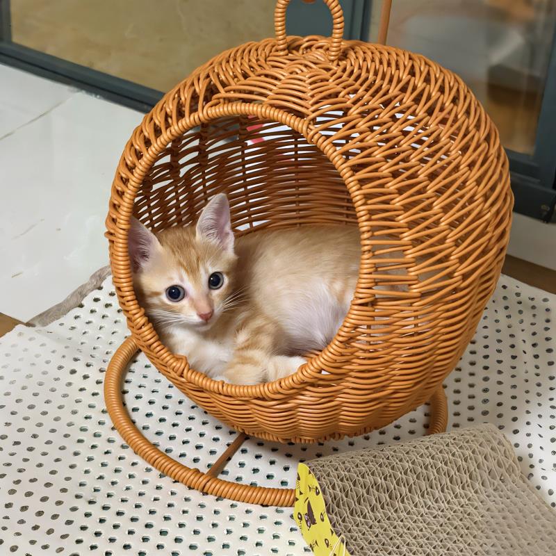 猫窝四季通用彷藤编织摇篮透气手工藤编小猫挂式吊篮吊床宠物用品