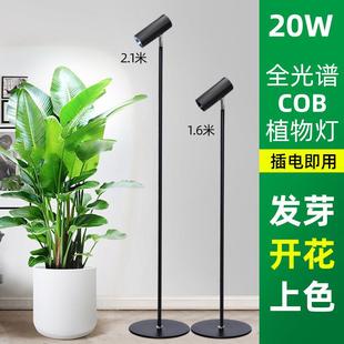 落地植物补光灯全光谱仿太阳光照植物灯多肉月季室内绿植物生长灯