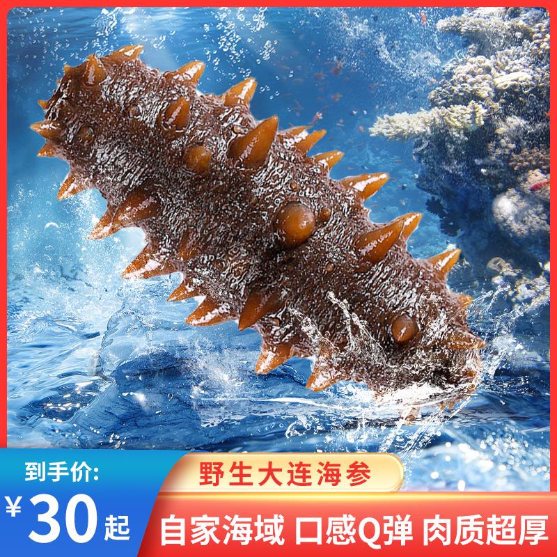 即食海参大连海域辽参海生刺顺丰包邮参鲜活孕妇臻品礼盒装