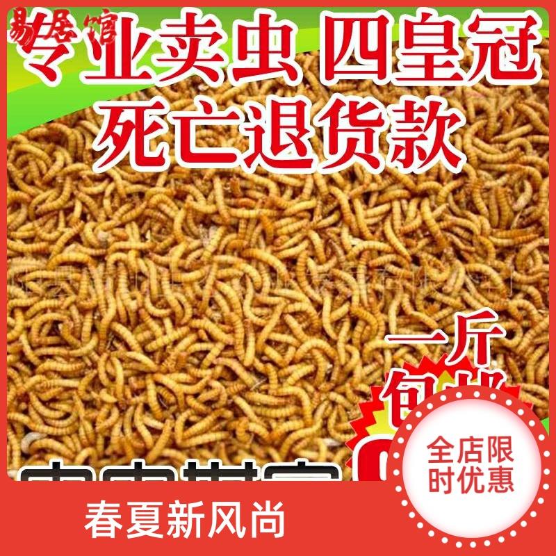 速发种金八哥画眉鸟一活虫面包虫斤丝熊黄粉虫蝎子饲料引鱼饲料