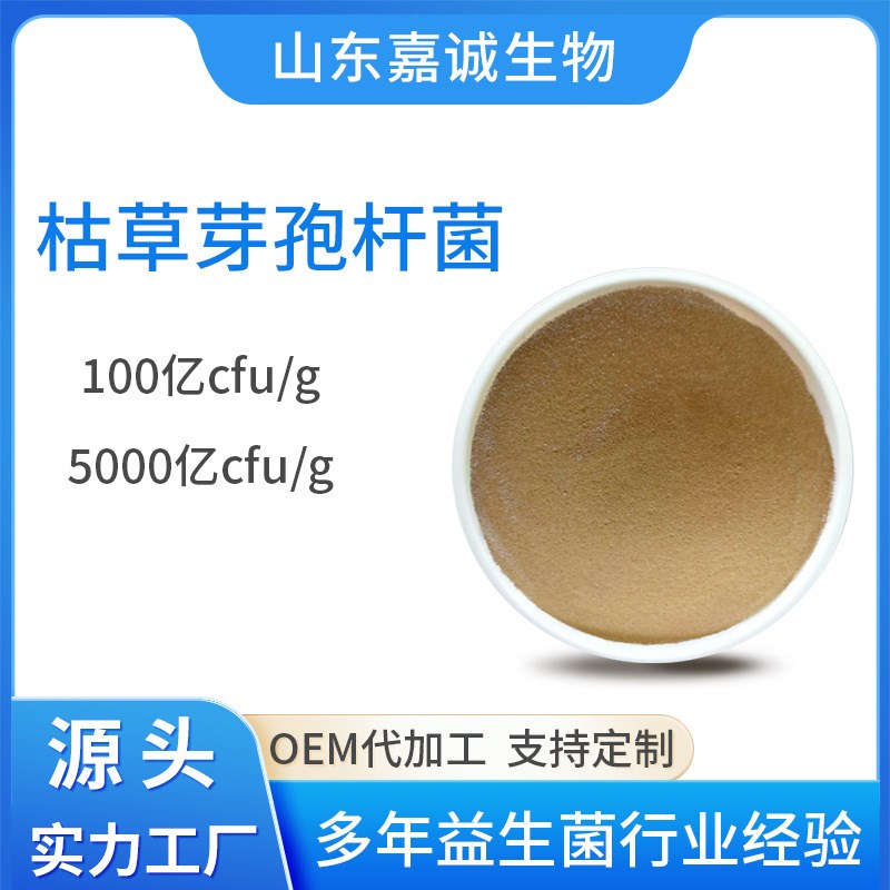 速发枯草芽孢杆菌农业水产养殖用全水用微生物菌肥种植溶枯草芽孢